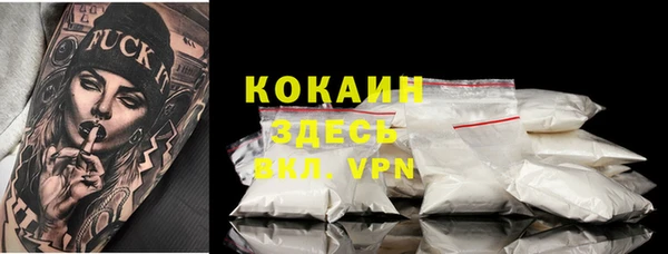 мяу мяу мука Дмитриев