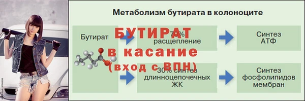 мяу мяу мука Дмитриев