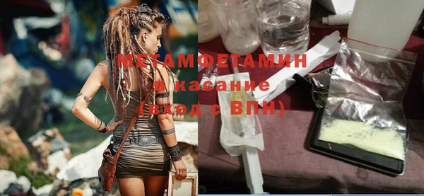 мяу мяу мука Дмитриев